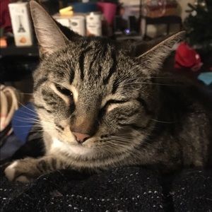 Meet your Posher, Estella